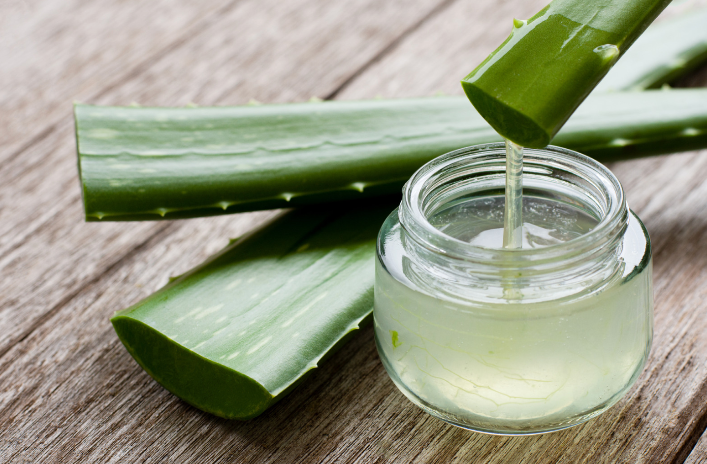 Aloe-Vera Moisturising Lip Balm